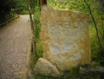 дыназаўры, млекакормячыя, дагістарычныя жывёлы ледніковага перыяду, студыя мадэляў 01