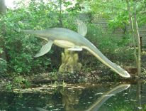 дыназаўры, млекакормячыя, дагістарычныя жывёлы ледніковага перыяду, студыя мадэляў 10