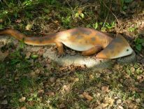 дыназаўры, млекакормячыя, дагістарычныя жывёлы ледніковага перыяду, студыя мадэляў 11