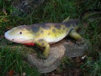 дыназаўры, млекакормячыя, дагістарычныя жывёлы ледніковага перыяду, студыя мадэляў 13